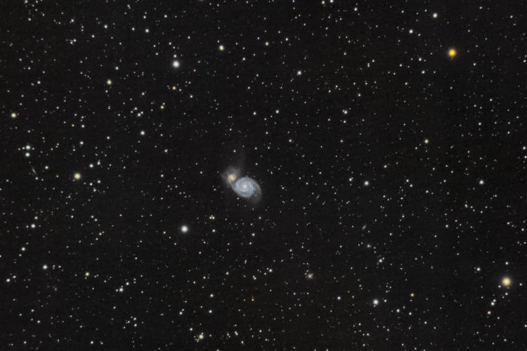 M51