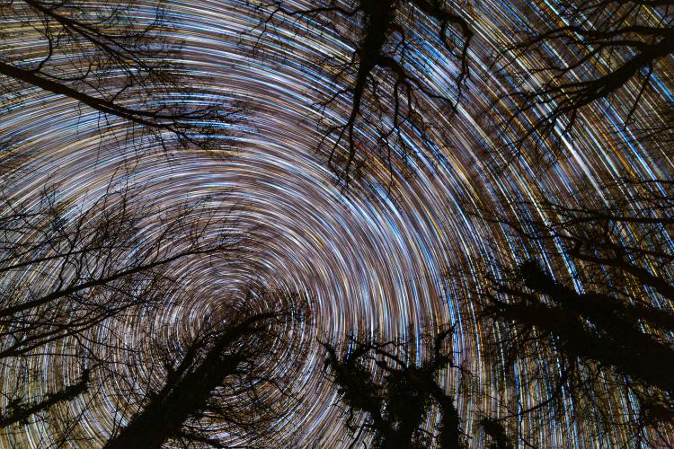 Star trails